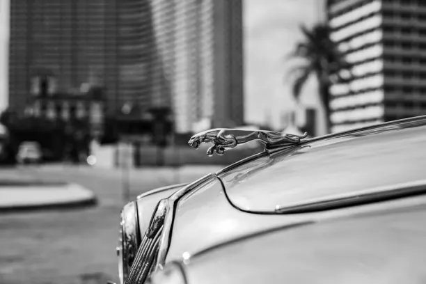 Casino Prize Land Bingo App Android/iOS